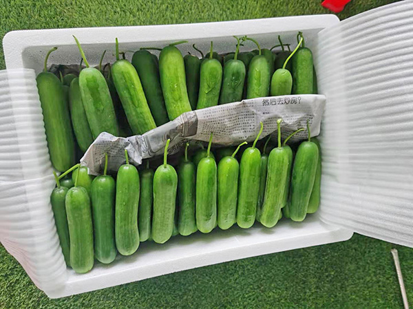 糧油配送公司教你花生油儲存方法？